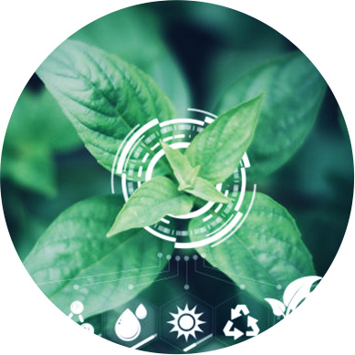 低密度基因分型 - 編碼微芯片高通量基因分型系統(tǒng)